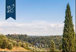 Lovely luxury property with vineyards for sale in Pisa