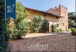 Lovely luxury property with vineyards for sale in Pisa