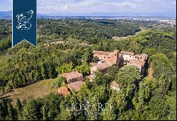 Lovely luxury property with vineyards for sale in Pisa