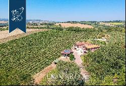 Wonderful villa for sale in the Marche