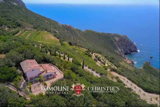 WATERFRONT COASTAL WINE ESTATE, VILLAS SEA ACCESS FOR SALE ARGENTARIO TUSCANY