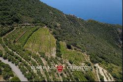 WATERFRONT COASTAL WINE ESTATE, VILLAS SEA ACCESS FOR SALE ARGENTARIO TUSCANY