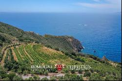 WATERFRONT COASTAL WINE ESTATE, VILLAS SEA ACCESS FOR SALE ARGENTARIO TUSCANY