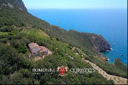 WATERFRONT COASTAL WINE ESTATE, VILLAS SEA ACCESS FOR SALE ARGENTARIO TUSCANY