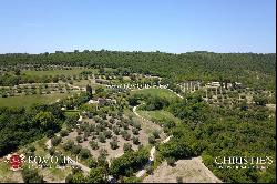 Umbria - AGRITURISMO WITH OLIVE GROVE AND VINEYARDS FOR SALE CORCIANO