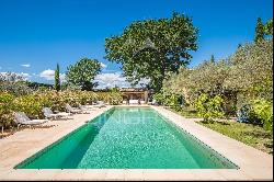 Close to L'Isle-sur-la-Sorgue - Splendid estate