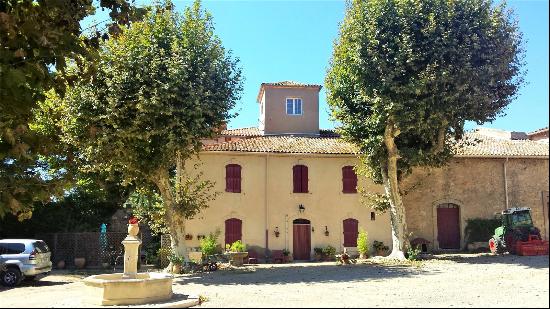 Vineyard, Herault, South France