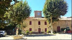 Vineyard, Herault, South France