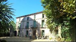 Vineyard, Herault, South France