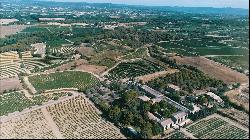 Vineyard, Herault, South France