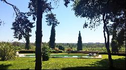 Vineyard, Herault, South France