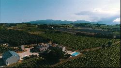 Vineyard, Provencal Drôme