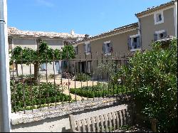 Vineyard, Provencal Drôme