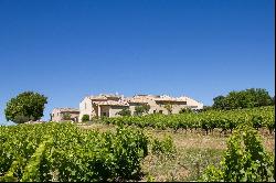 Vineyard, Provencal Drôme