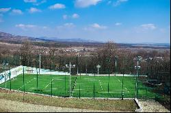 The Field At The Edge Of The Forest