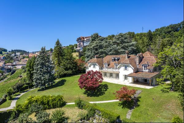 Exceptional master property, noble materials and elegance