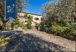 Farmhouse with modern works of art for sale in Camaiore