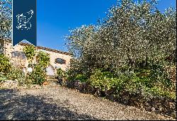 Farmhouse with modern works of art for sale in Camaiore