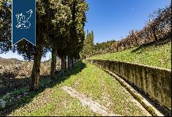 Luxury villa with small castle and olive grove for sale near Florence