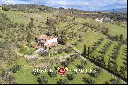 SMALL ESTATE FOR SALE NEAR FLORENCE, TUSCANY