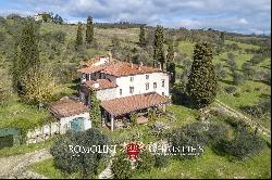 SMALL ESTATE FOR SALE NEAR FLORENCE, TUSCANY