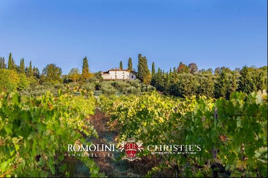 SMALL ESTATE FOR SALE NEAR FLORENCE, TUSCANY