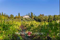 SMALL ESTATE FOR SALE NEAR FLORENCE, TUSCANY