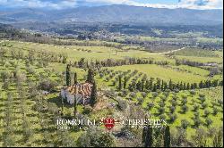 Tuscany - SMALL ESTATE FOR SALE 30 MINUTES FROM FLORENCE
