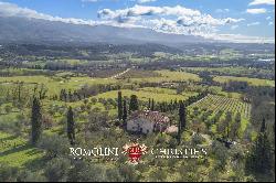 SMALL ESTATE FOR SALE NEAR FLORENCE, TUSCANY