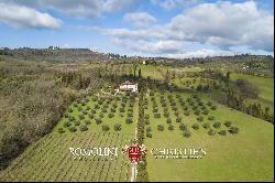 SMALL ESTATE FOR SALE NEAR FLORENCE, TUSCANY