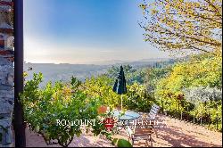 SMALL ESTATE FOR SALE NEAR FLORENCE, TUSCANY