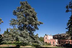 Historic Palace in Elvas