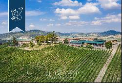 Luxury property with huge grounds, vineyards and a hunting reserve in Pavia