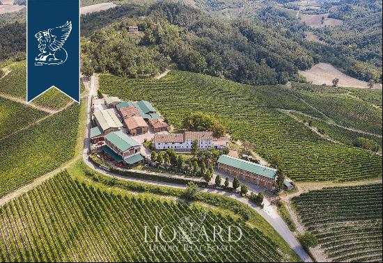 Luxury property with huge grounds, vineyards and a hunting reserve in Pavia