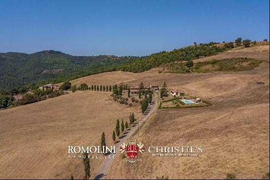 FARMSTEAD FOR SALE IN TUSCANY - BOVINE BREEDING, HORSES