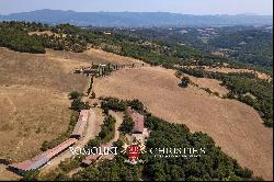 FARMSTEAD FOR SALE IN TUSCANY - BOVINE BREEDING, HORSES