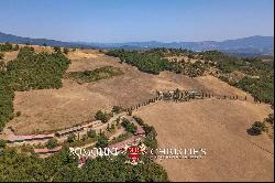 FARMSTEAD FOR SALE IN TUSCANY - BOVINE BREEDING, HORSES