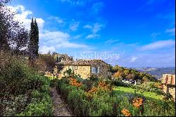 Marvelous newly restored farmhouse close to Montalcino