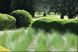 “San Juan” Estate/farm, Bolívar