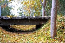 “San Juan” Estate/farm, Bolívar