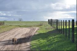 “San Juan” Estate/farm, Bolívar