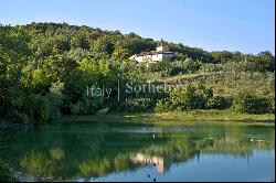 Beautiful charming countryside 6 bedroom villa with pool in Bagno a Ripoli