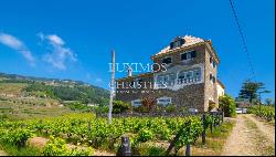 Vineyard with stunning views to Douro River, Vila Marim, Portugal