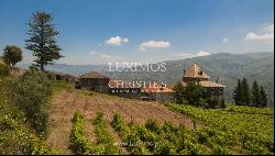 Vineyard with stunning views to Douro River, Vila Marim, Portugal