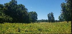 Farm in Río Bueno