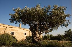 Magnificent Sicilian Wine Estate