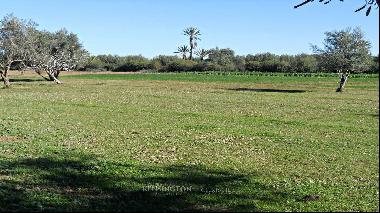 Land for Sale 5 km from Al Maaden