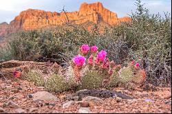 Ultimate Zion Overlook