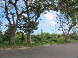 Prime Commercial Land for Sale in Central Location