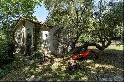 Ref. 6152 Ancient Farmhouse in Torrita di Siena, Tuscany.